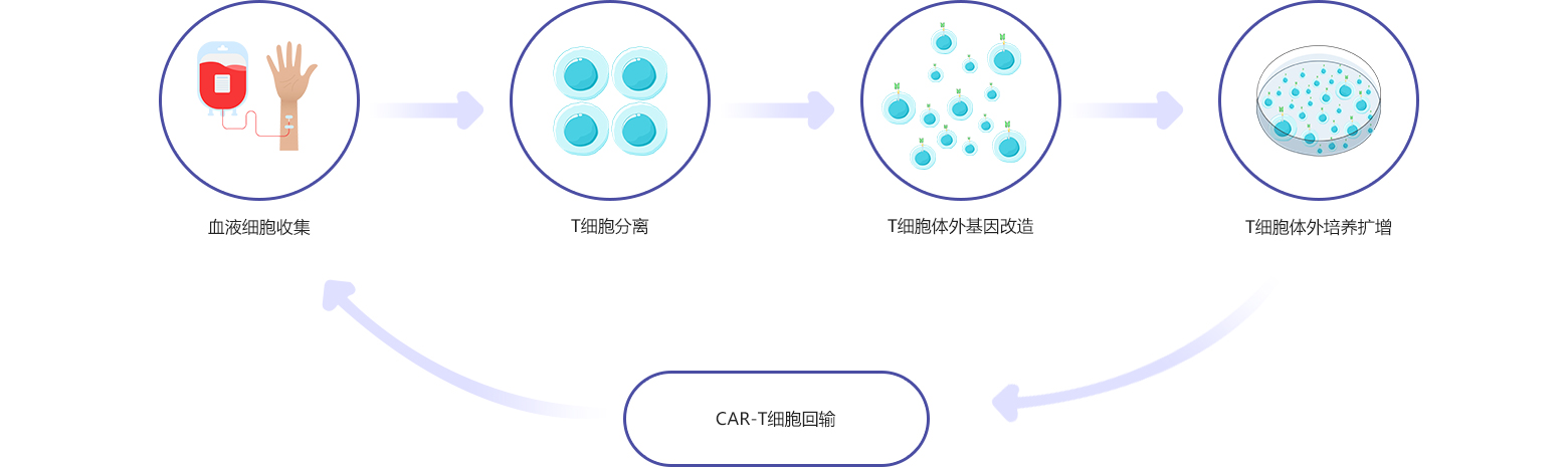 06-普瑞金-首页-CAR-T细胞药物简介_03.jpg